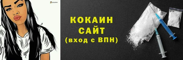 дурь Бородино