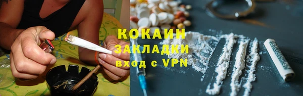 дурь Бородино