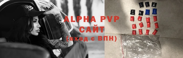 дурь Бородино