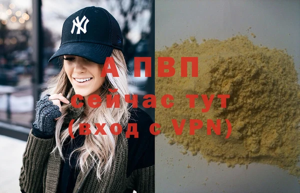 дурь Бородино
