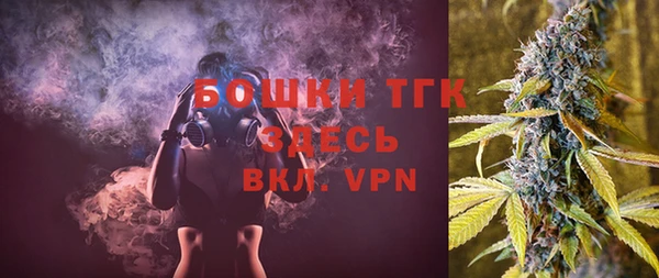 дурь Бородино