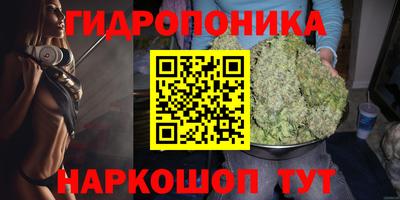 альфа пвп Берёзовский