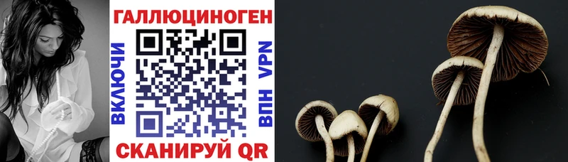 Галлюциногенные грибы GOLDEN TEACHER  Бузулук 