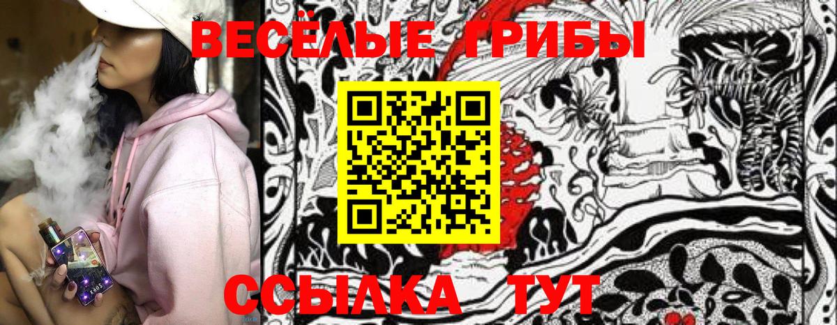 Галлюциногенные грибы Psilocybe Бузулук