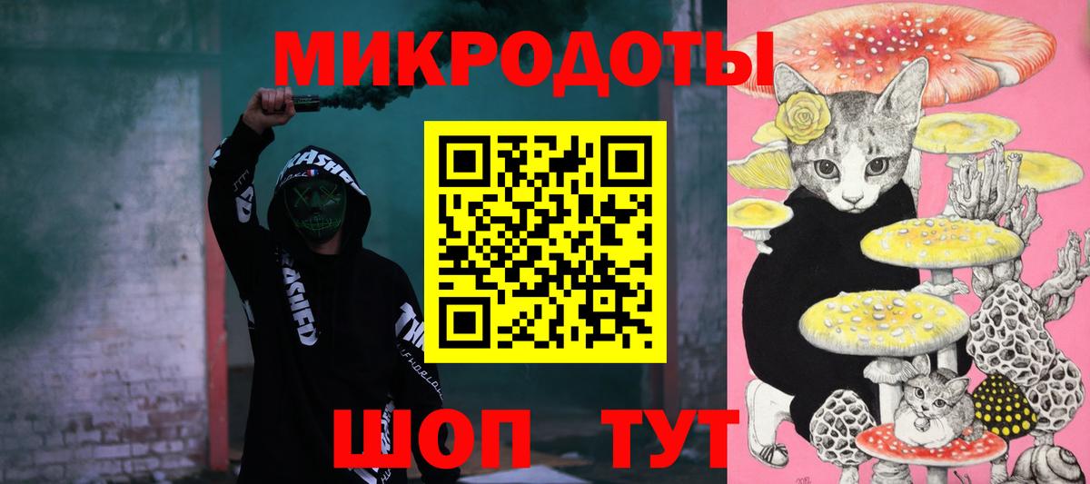 Псилоцибиновые грибы Psilocybine cubensis Бузулук